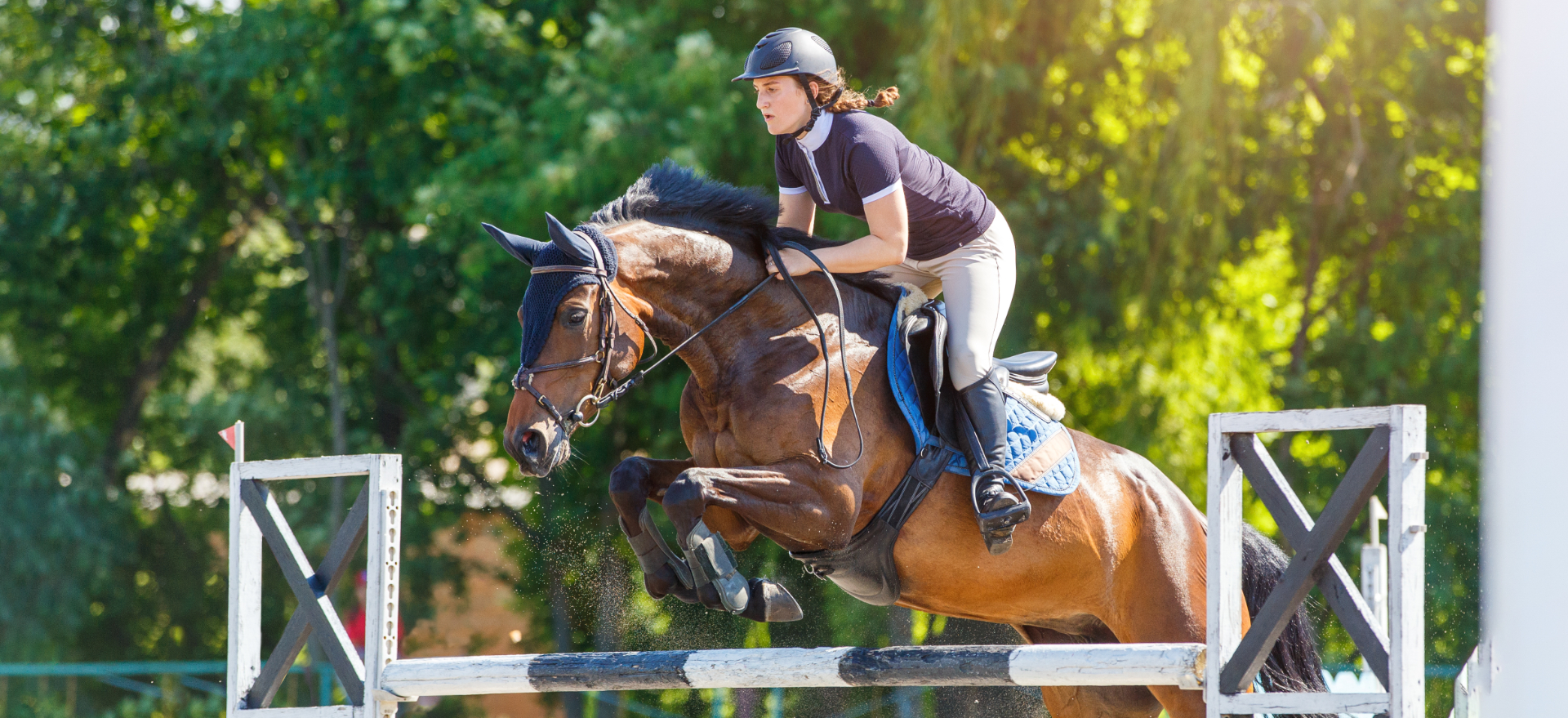 LegUp Equestrian