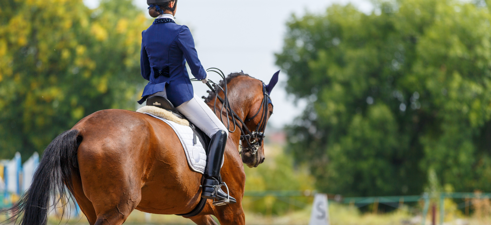 LegUp Equestrian